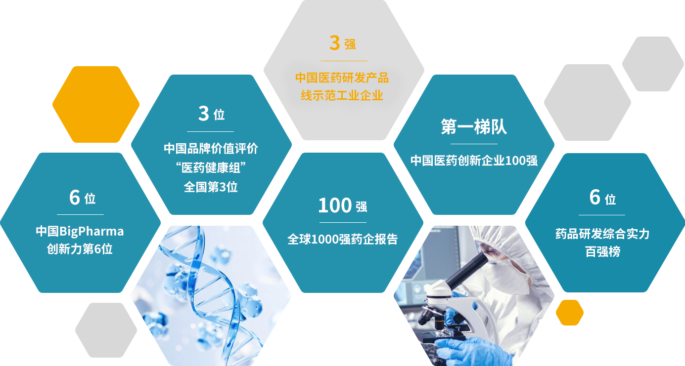 公司荣誉